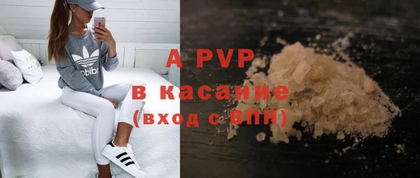тгк Каменногорск