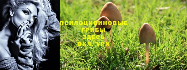 хмурый Алексеевка